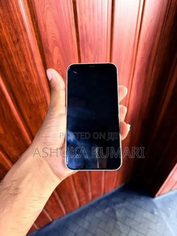 Apple iPhone 12 (Used)