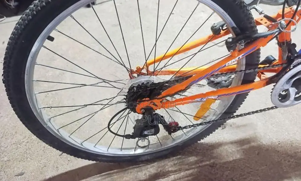 Brand New Mountain Gear Bicycle
