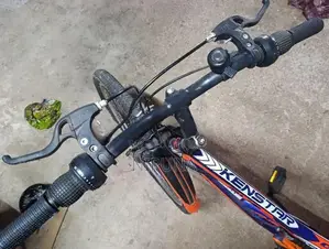 Brand New Mountain Gear Bicycle