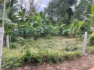 කොස්ගම - කොළඹ ප්‍රධාන පාරට මීටර් 200 ක දුරින් අගනා ඉඩ්මක්
