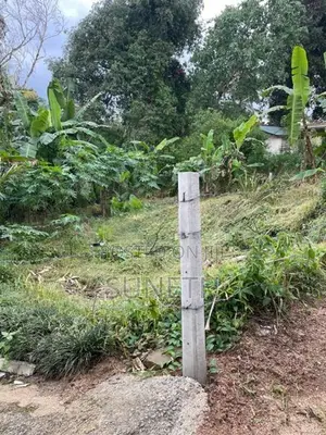 කොස්ගම - කොළඹ ප්‍රධාන පාරට මීටර් 200 ක දුරින් අගනා ඉඩ්මක්