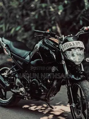 Yamaha FZS V1 2014