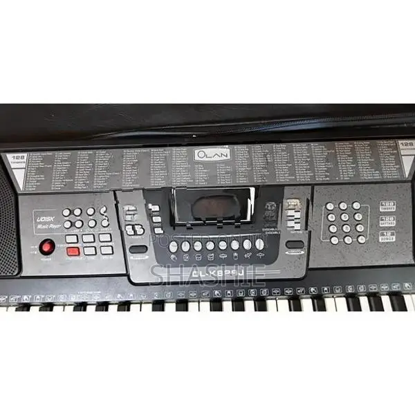 Olan Electric Organ