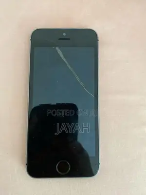 Apple iPhone 5S (Used)