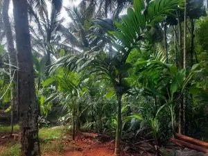 Land for Sale in Kurunegala, Mawathagama