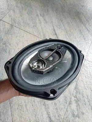 Pioneer Speaker