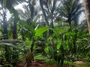 Land for Sale in Kurunegala, Mawathagama