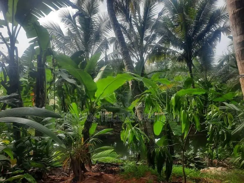 Land for Sale in Kurunegala, Mawathagama