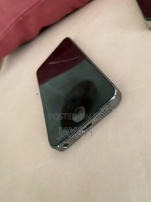 Apple iPhone 5S (Used)