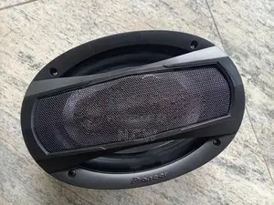 Pioneer Speaker