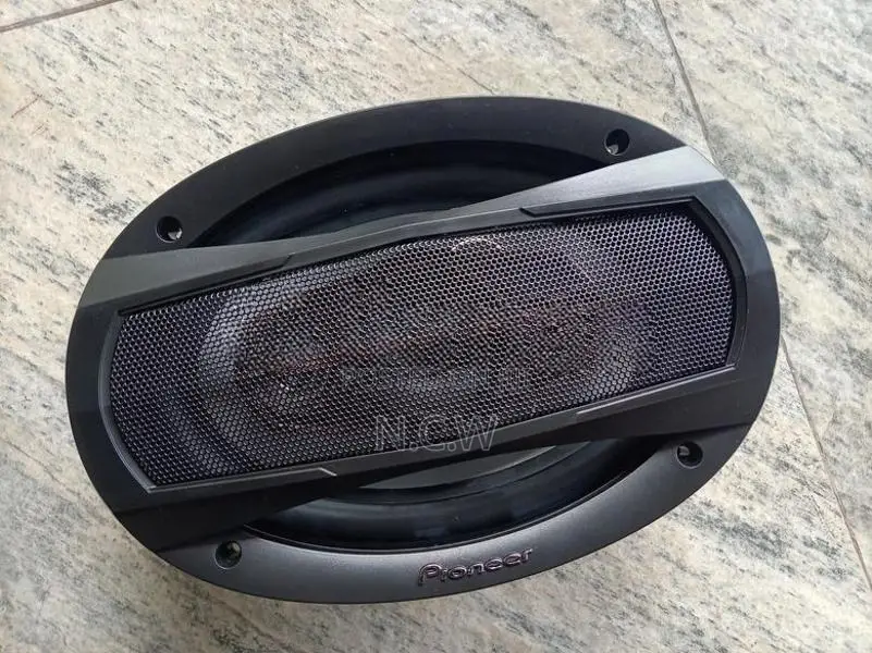 Pioneer Speaker