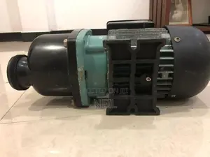 Jacuzzi Water Pump