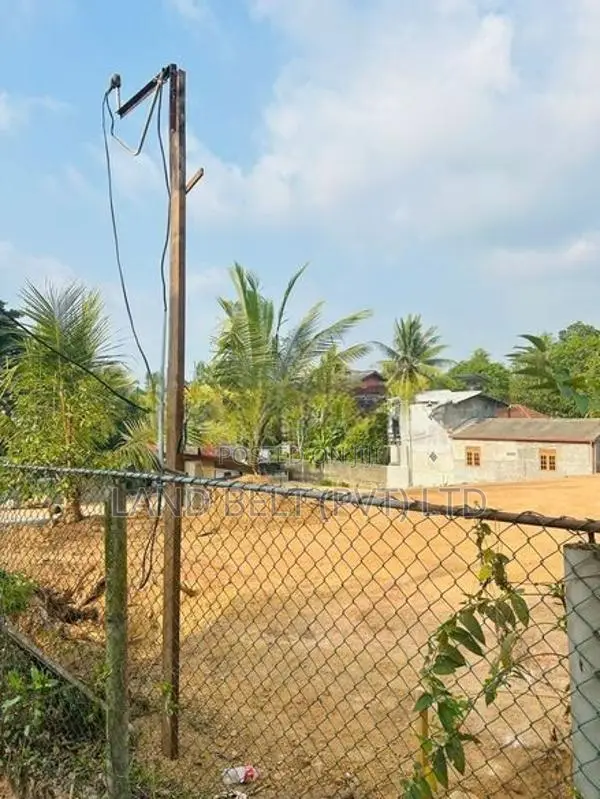 මාකුඹුරෙන් වටිනා ඉඩමක්