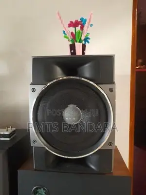 Sony Sub Woofer