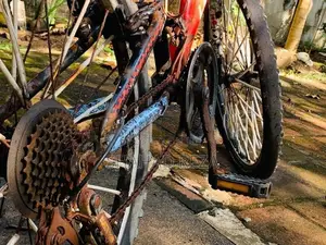 Lumala Bicycle