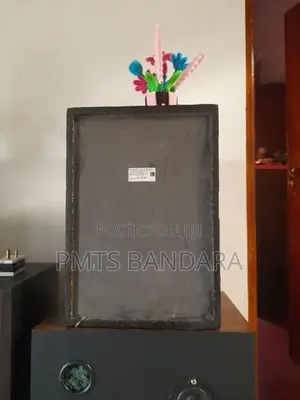 Sony Sub Woofer