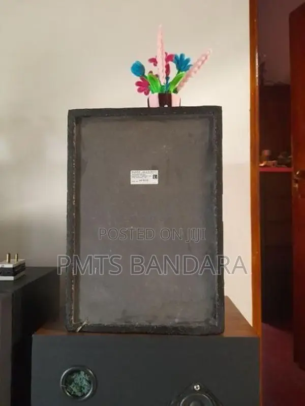 Sony Sub Woofer