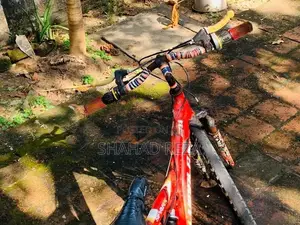 Lumala Bicycle