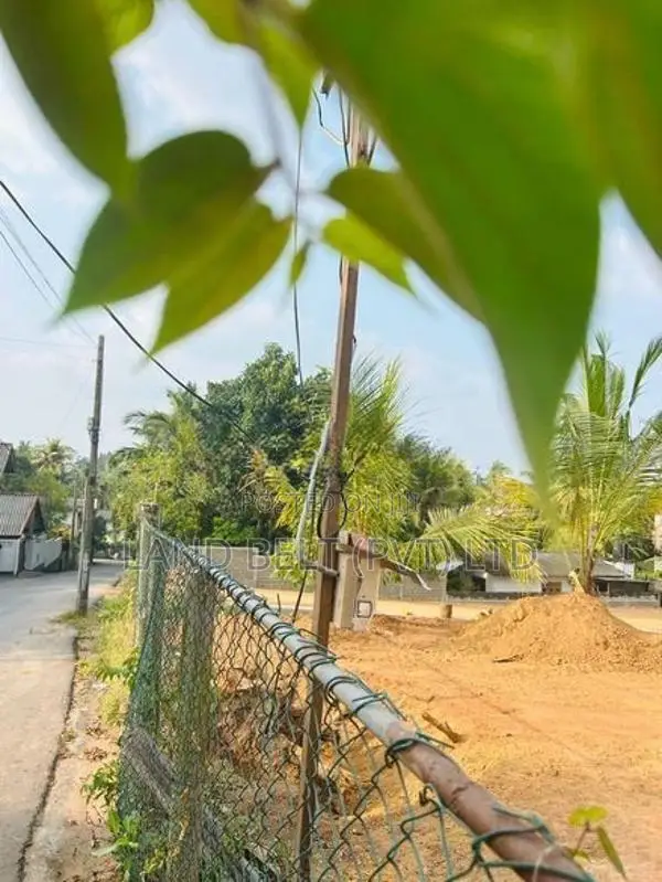 මාකුඹුර වටිනා ඉඩමක් විකිණීමට