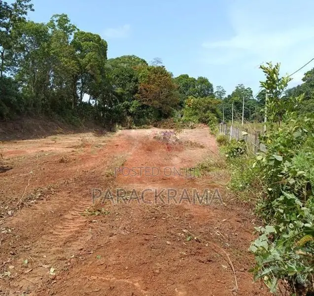100 Perches Land for Sale in Panadura