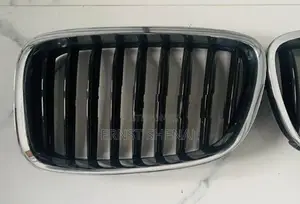 BMW 5 Series Grill