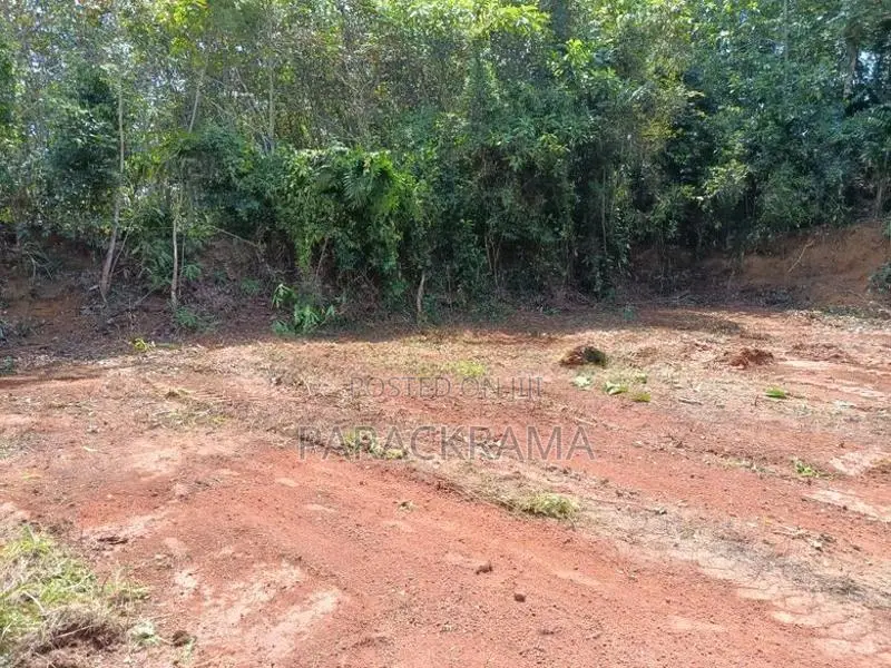 100 Perches Land for Sale in Panadura