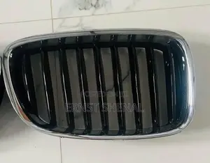 BMW 5 Series Grill