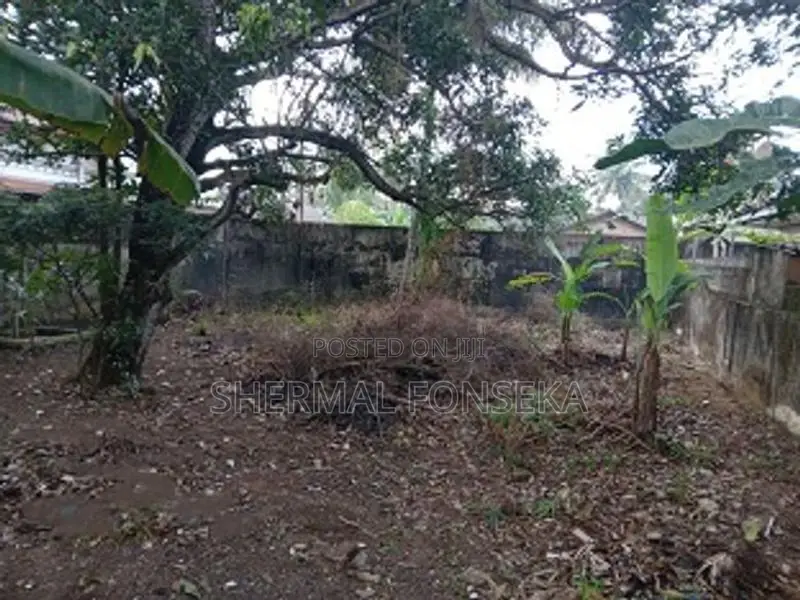 Kandana Mahabage Thotupola Gardens Land for Sale 900m to Colombo Road