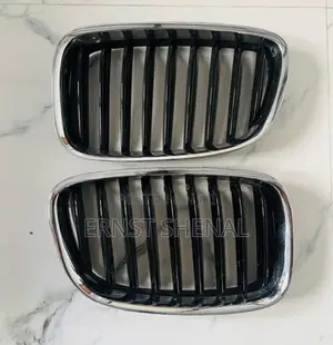 BMW 5 Series Grill