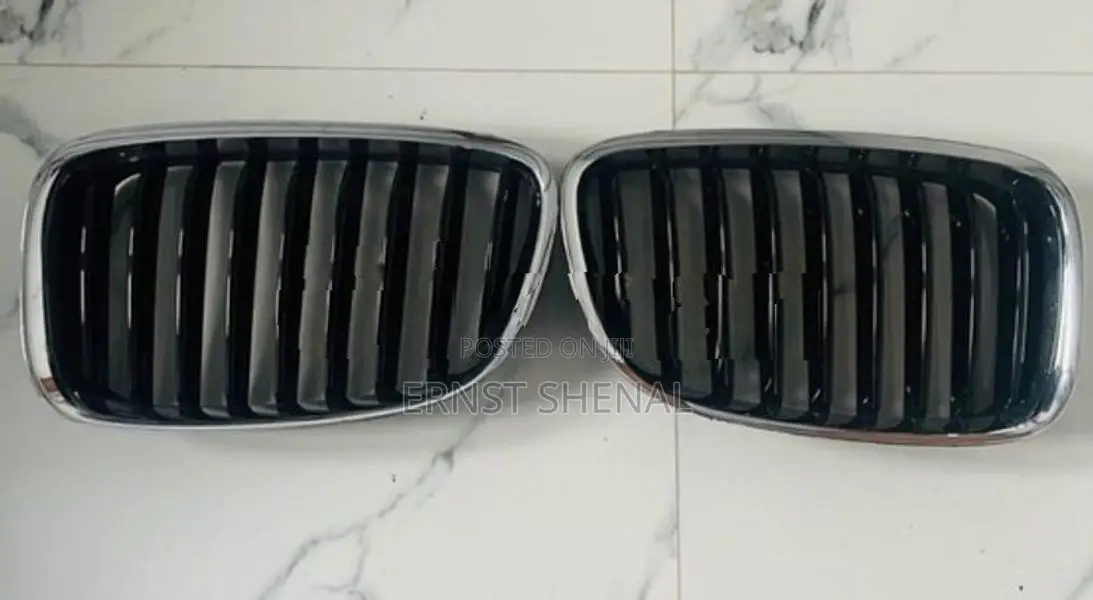 BMW 5 Series Grill