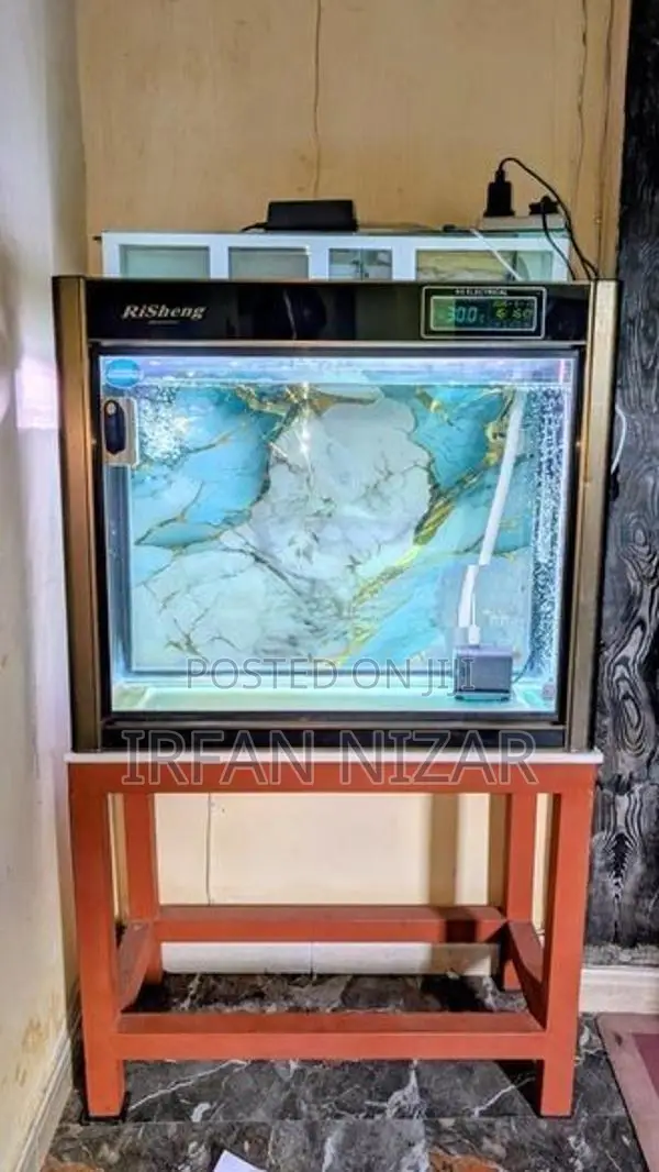 Fish Tank