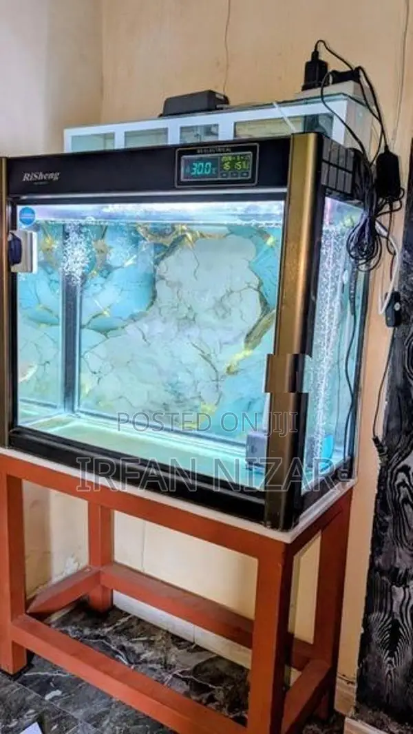 Fish Tank