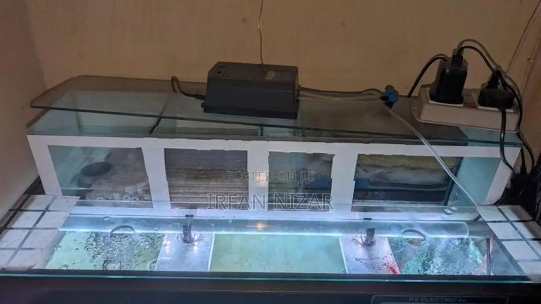 Fish Tank