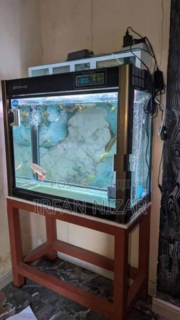 Fish Tank