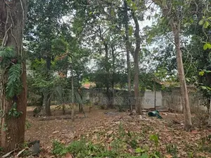 Prime Residential Land for Sale in Boralesgamuwa