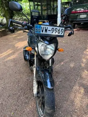 Yamaha FZ 1 2010