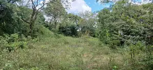 Land for Sale Kataragama