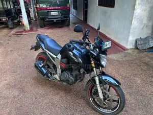 Yamaha FZ 1 2010