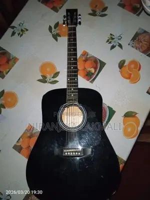 Karaoke Acoustic Guitar