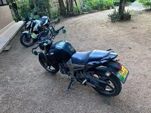 Yamaha FZ 1 2010