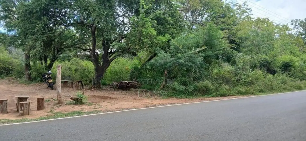 Land for Sale Kataragama