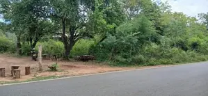 Land for Sale Kataragama