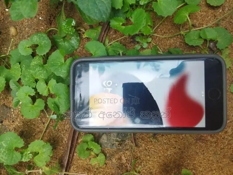 Apple iPhone 7 (Used)
