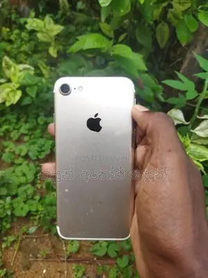 Apple iPhone 7 (Used)