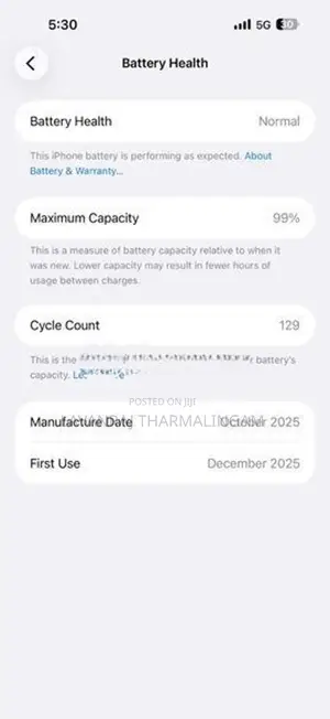Apple iPhone 17 Pro Max eSIM (Used)