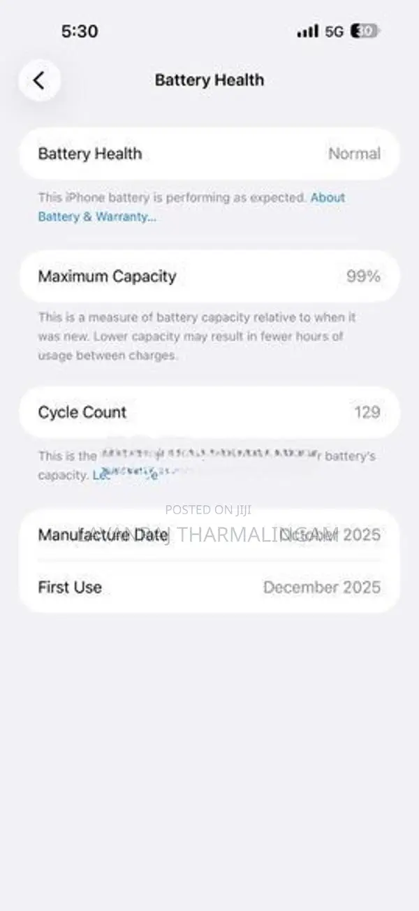 Apple iPhone 17 Pro Max eSIM (Used)