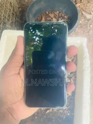 Apple iPhone 11 (Used)