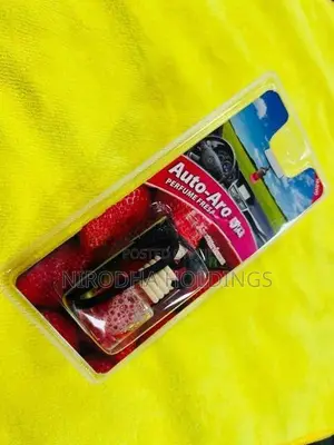 Vehicle Air Freshener