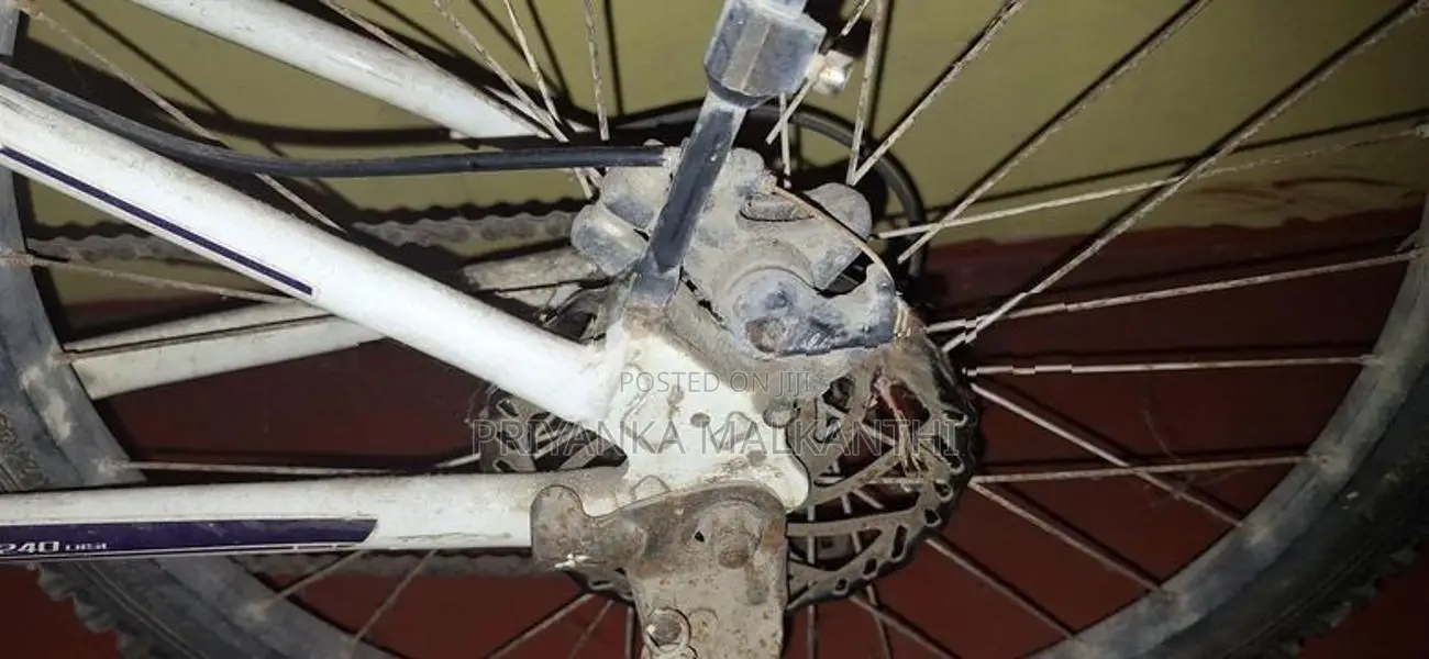 Bicycle