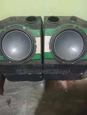 Vehicle Speaker